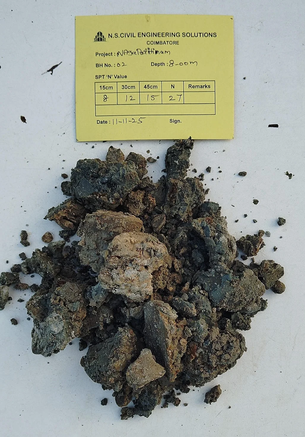 Soil rig at coastal location with palm trees